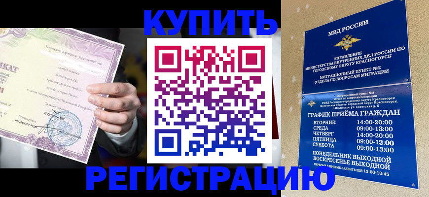 временная регистрация собственник в Калининградской области